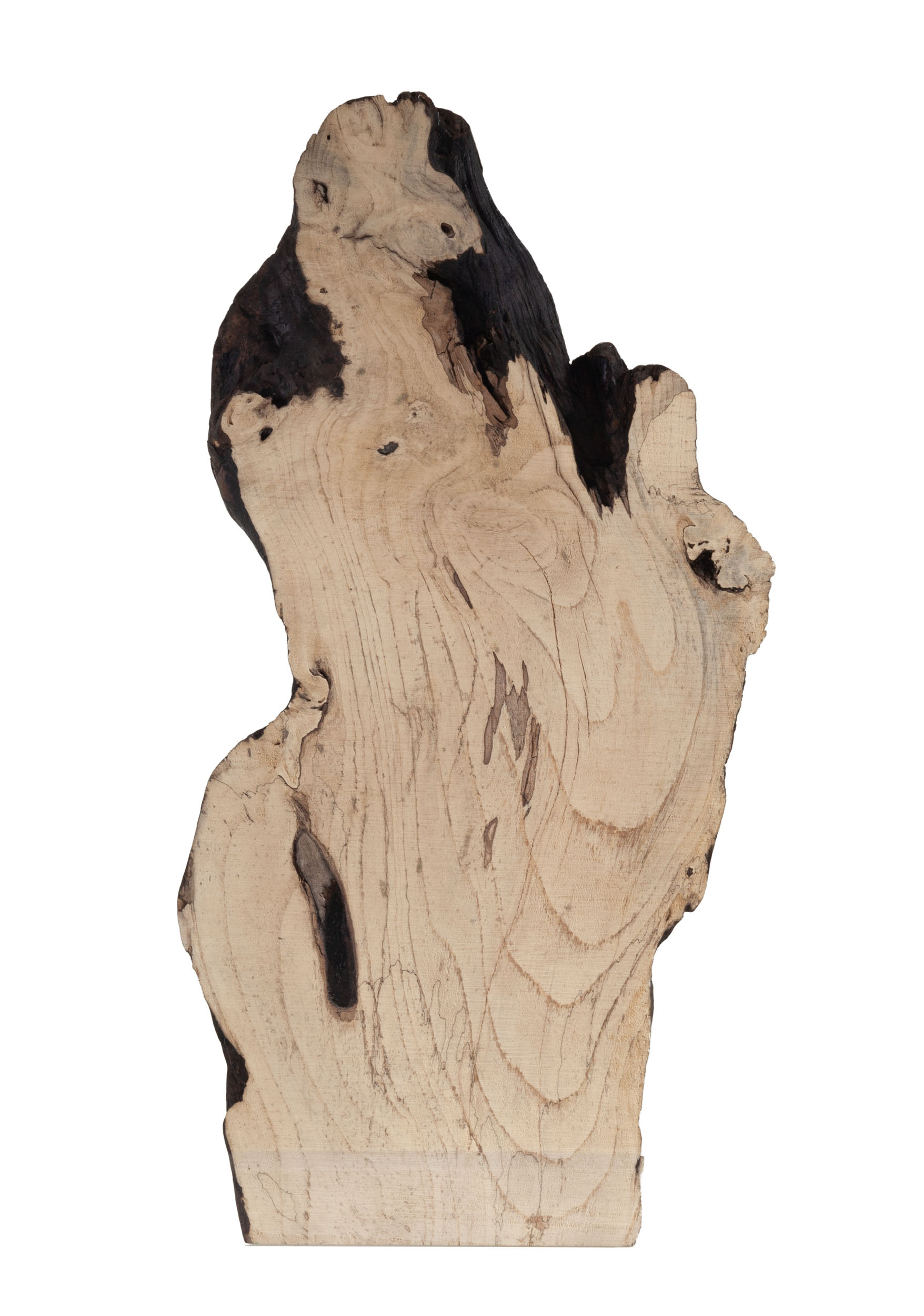 Mother dragon and her baby